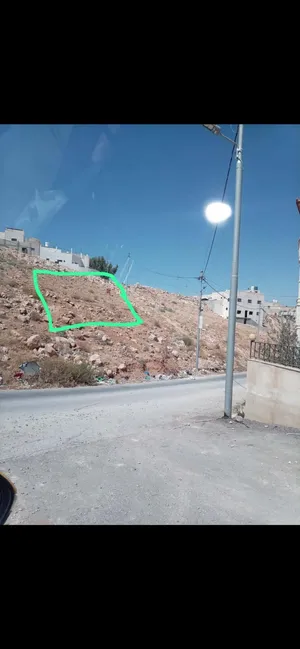 ارض بجريبا سلايطه