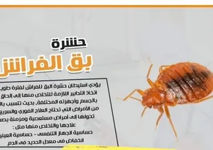 شركة مكافحة حشرات وتنظيف بجده