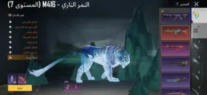حساب ببجي للبيع اقرأ الوصف