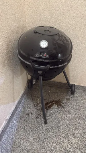 Barbecue looks like new