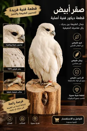 قطع فنية صقر ابيض