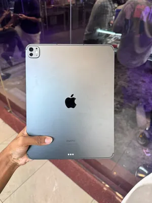 IPad Pro m4 13inch 256gb (wifi /cellular)