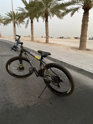 دراجة هوائية