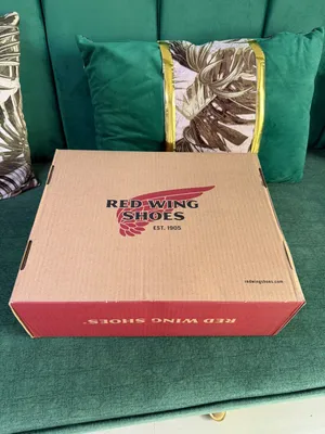 سيفتي بوتRed wing 2026-2027
