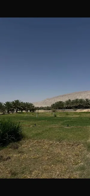 مزرعة للبيع في موقع مميز