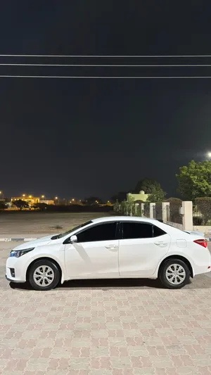 تويوتا كورولا 2014 عادي أبيض موديل XLI مع كاميرا خلفية وسائط حديثة