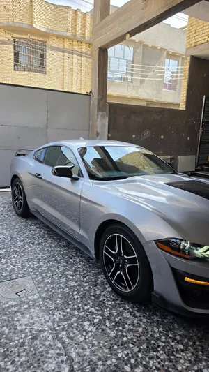 موستنك مديل 2022