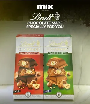 Lindt  LES GRANDES  PRALINÉ NOISETTES