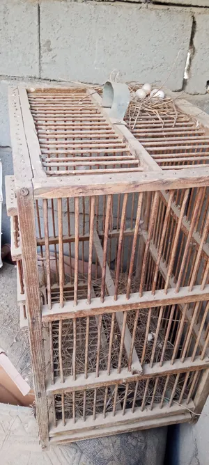 ثلاث اقفاص مختلفة للبلابل والطيور. بحالة جيدة كما موضح بالصور.