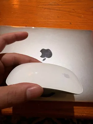 ماوس ابل الجيل الاول-Apple Mouse 1st