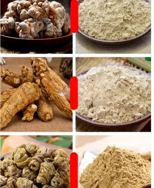 طاحونة حبوب وبهارات - ستانلس - عمودية