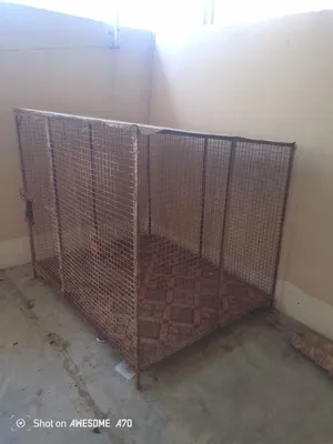 قفص أموره طيبه للبيع