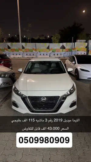 التيما 2019 خليجي