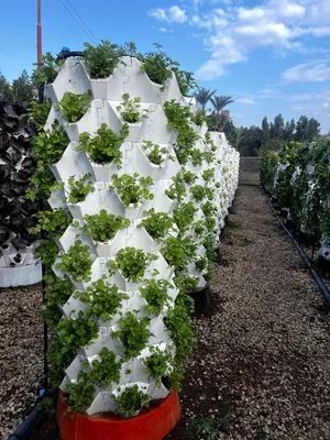 أبراج زراعية عمودية