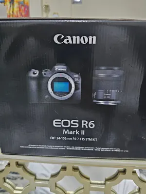 Canon and sony