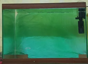 حوض سمك 50cm