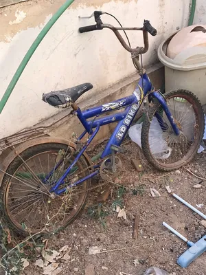 اقراء الوصف