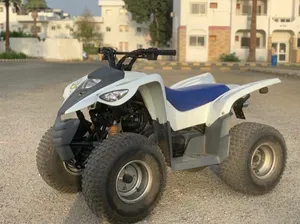 Adly ATV-100V RS Taiwanese Quad bike