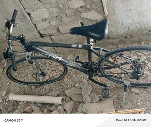 باسكل ياباني