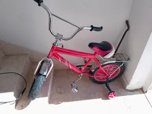 bicycle 24