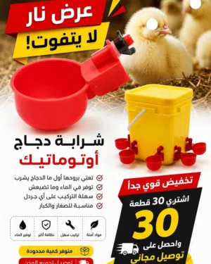 توصيل مجاني عند شراء 30 قطعة من شرابة الدجاج الذكية