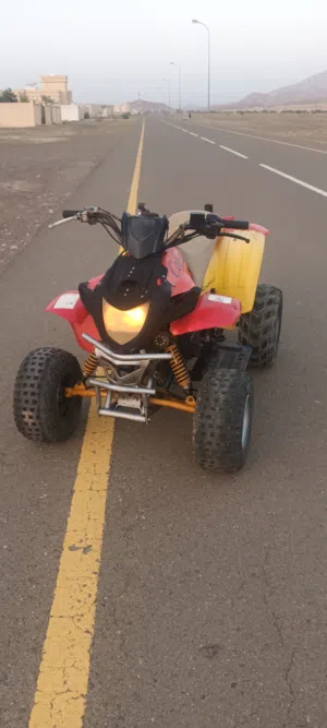 cobra 100cc automatic gear
