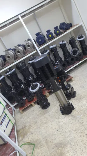 مضخات إيطالية
