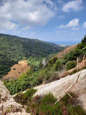 Mechref Land for sale