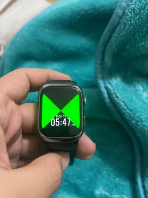 Huawei Watch D2