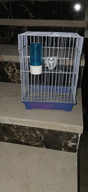 اقفاص ببغاء و عصافير حب