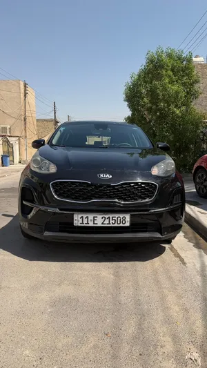 سبورتج 22 بدون صبغ