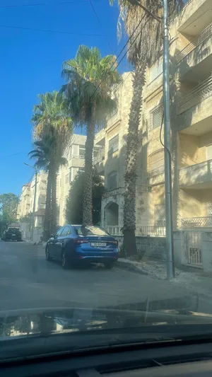 4 نخلات واشنطونيا بارتفاع يتراوح بين -0 امتار الى 13 متر