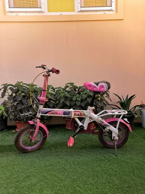 Branded child bike