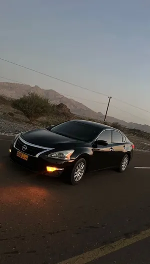 التيما مديل 2015