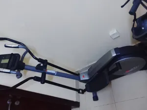الأوربتراك