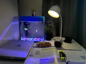 Fish tank with fishes+IKEA table+good quality lamp