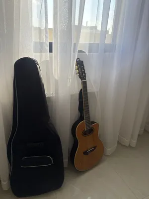 Eko NXT Nylon N100CE electro-classical guitar in a natural finish