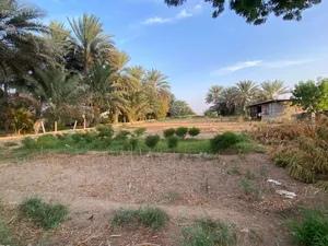 Farm Land for Rent in Al Sharqiya Al Kamil and Al Waafi