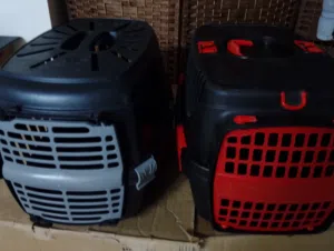 بوكسات قطط
