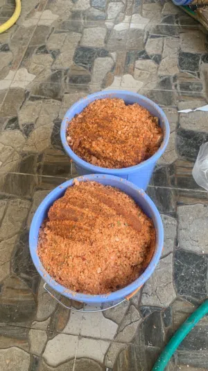 مالح حبسة جديد كمية طيبة