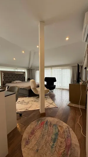 290-m2-4-bedrooms-apartments-for-sale-in-istanbul-other