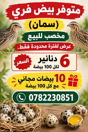 متوفر بيض سمان فري للبيع