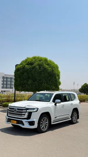 VXR خليجي  2026
