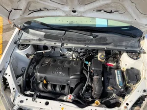 Used Toyota Echo in Muscat