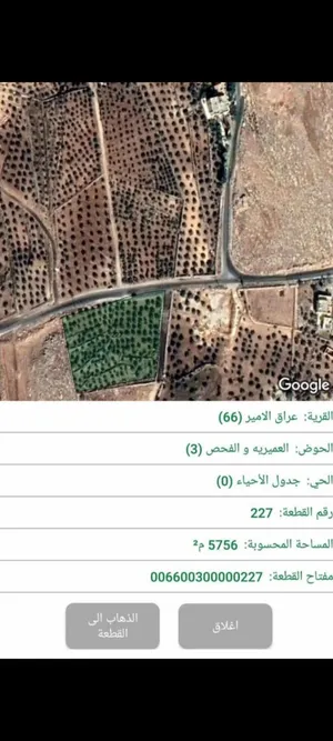 مزرعه زيتون للبيع