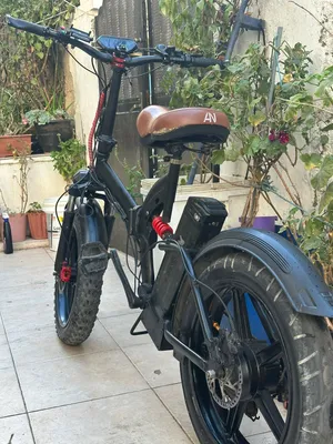 بسكليت كهربا 48فولت للبيع