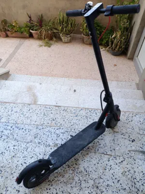 سوكتر تشاومي