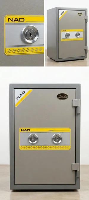 NAD safe box with dual lock