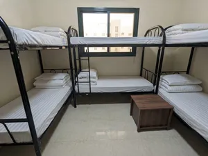 BED SPACE AVAILABLE FOR EXECUTIVE MALES 399 AED  in Butina Sharjah