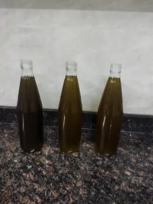 زيت الزيتون السوري